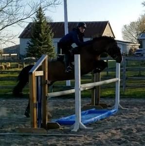 Meet your Posher, Andrea